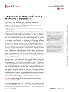 Comparative Cell Biology and Evolution of Annexins in Diplomonads