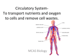 Circulatory System-‐ To transport nutrients and oxygen to cells and