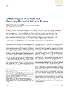Synthetic Physical Interactions Map Kinetochore