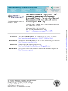 HIV Gag monocytogenes Listeria Immunization with Recombinant