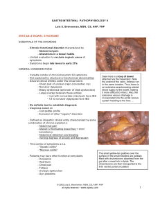 Seen here is a loop of bowel attached via the mesentery. Note the