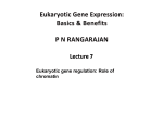 Eukaryotic gene regulation: Role of chromatin