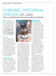 ChroniC intestinal disease in cats