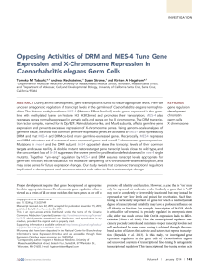 Opposing Activities of DRM and MES