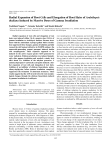 Radial Expansion of Root Cells and Elongation of Root Hairs of