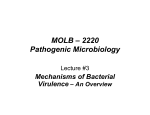 MOLB – 2220 Pathogenic Microbiology