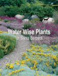 Water Wise Plants for Santa Barbara