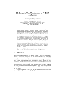 Phylogenetic Tree Construction for Y