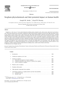 Sorghum phytochemicals and their potential impact on human health