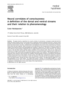 Neural correlates of consciousness: A definition of the dorsal and