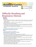 Difficulty Breathing and Respiratory Distress