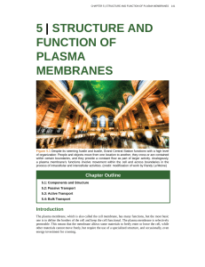 5 | structure and function of plasma membranes