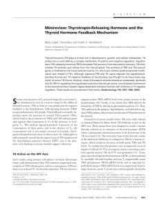 Minireview: Thyrotropin-Releasing Hormone and the Thyroid