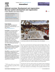 Editorial overview: Development and regeneration: Nervous system