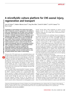 A microfluidic culture platform for CNS axonal injury, regeneration