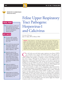 Feline Upper Respiratory Tract Pathogens