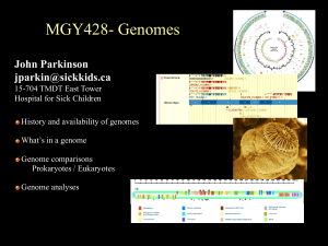 MGY428- Genomes