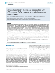Intracellular NAD+ levels are associated with LPS-induced TNF