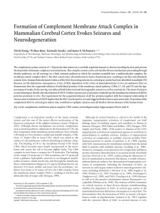 Formation of Complement Membrane Attack Complex in Mammalian