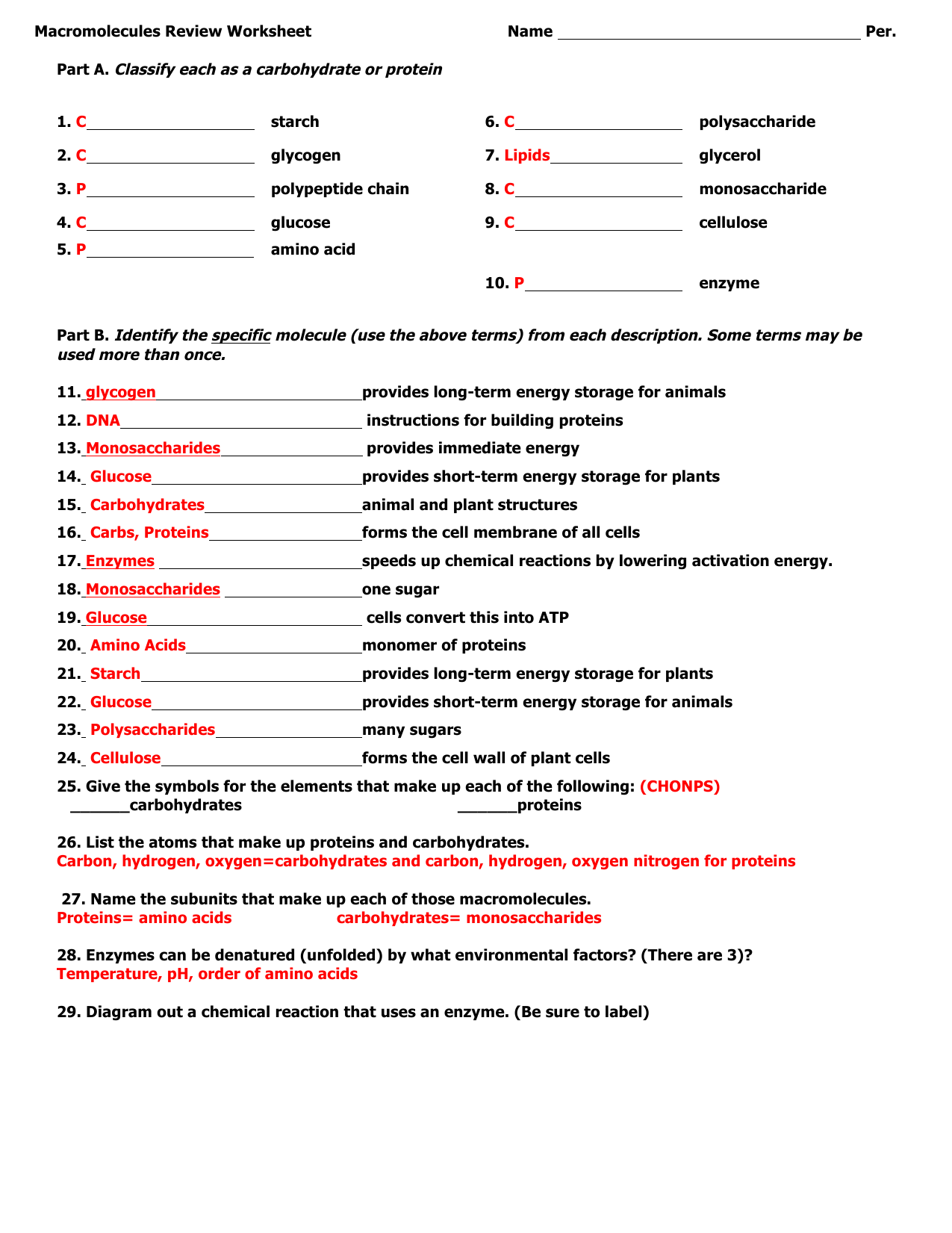 Macromolecules Review Worksheet Answer Key Throughout Building Macromolecules Worksheet Answers