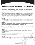 Houseplants Anyone Can Grow