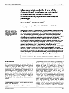 Missense mutations in the 3` end of the Escherichia