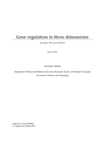 Gene regulation in three dimensions