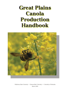 MF2734 Great Plains Canola Production Handbook