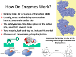 How Do Enzymes Work?