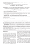 IDENTIFICATION OF CD133+/NESTIN+ PUTATIVE CANCER STEM