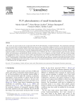 VUV photochemistry of small biomolecules