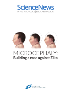 microcephaly - Science News