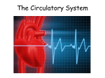 The Circulatory System - Lesmahagow High School
