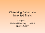 Chapter 11 Patterns of Inheritance