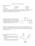 “Genetics Practice Quiz: Crosses and Pedigrees” 1) Define the