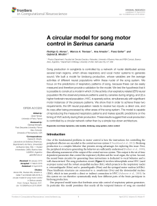 A circular model for song motor control in Serinus canaria