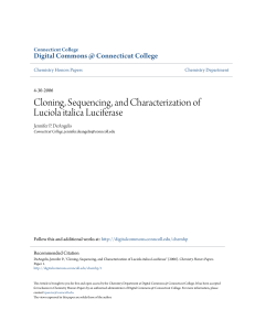 Cloning, Sequencing, and Characterization of Luciola italica