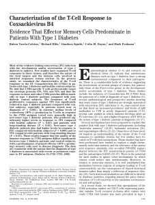 Characterization of the T-Cell Response to