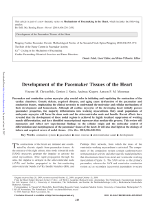 Development of the Pacemaker Tissues of the Heart