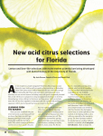 new acid citrus selections for Florida