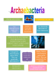 Archaebacteria Kingdom