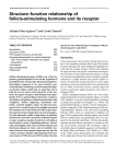 Structure–function relationship of follicle