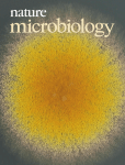 Fungi use the SakA (HogA) pathway for phytochrome