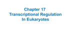 Chapter 17 Transcriptional Regulation In Eukaryotes