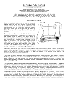 Print PDF - The Urology Group