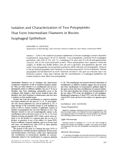 Isolation and Characterization of Two Polypeptides