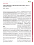 Induction of stable ER–plasma-membrane junctions by Kv2.1