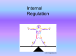 Internal Regulation