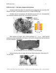 PHYS 4xx Intro 1 1 PHYS 4xx Intro 1