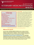 Spring - Veterinary Medicine Extension